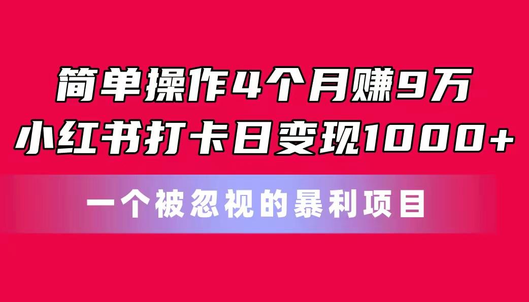 简单操作4个月赚9万！小红书打卡日变现1000+！一个被忽视的暴力项目-彼飞网创