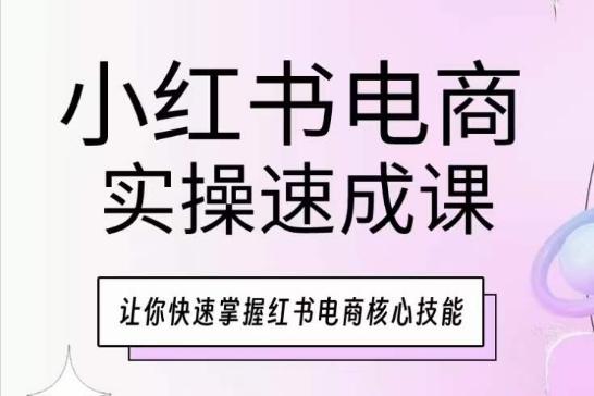 小红书电商实操速成课，让你快速掌握红书电商核心技能-彼飞网创