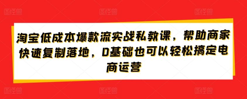 淘宝低成本爆款流实战私教课，帮助商家快速复制落地，0基础也可以轻松搞定电商运营-彼飞网创