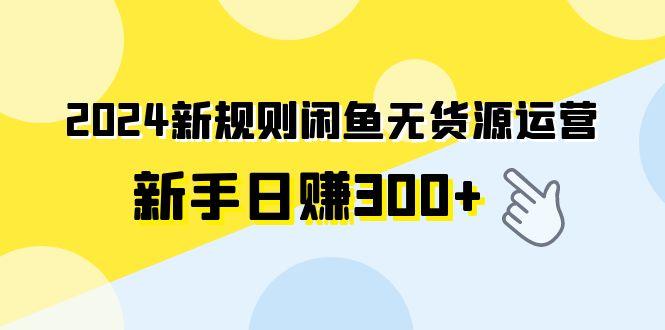 (9522期)2024新规则闲鱼无货源运营新手日赚300+-彼飞网创
