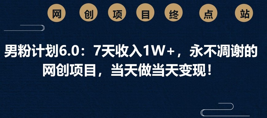 男粉计划6.0：7天收入1W+，永不凋谢的网创项目，当天做当天变现！-彼飞网创