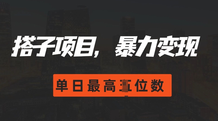 2024搭子玩法，0门槛，暴力变现，单日最高破四位数【揭秘】-彼飞网创