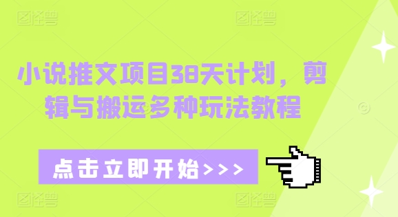 小说推文项目38天计划，剪辑与搬运多种玩法教程-彼飞网创
