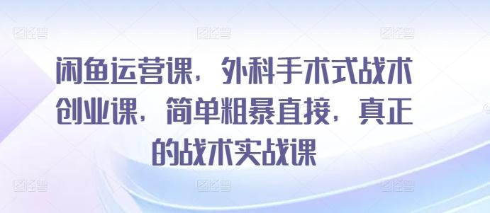 闲鱼运营课，外科手术式战术创业课，简单粗暴直接，真正的战术实战课-彼飞网创