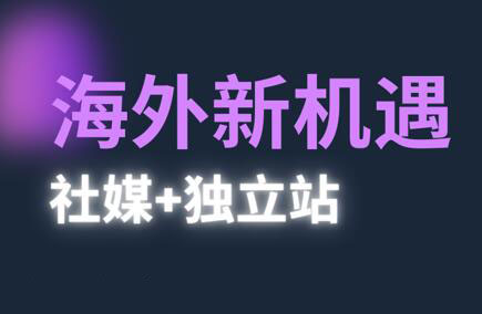 棕榈·2025出海新机遇(社媒+独立站)-彼飞网创