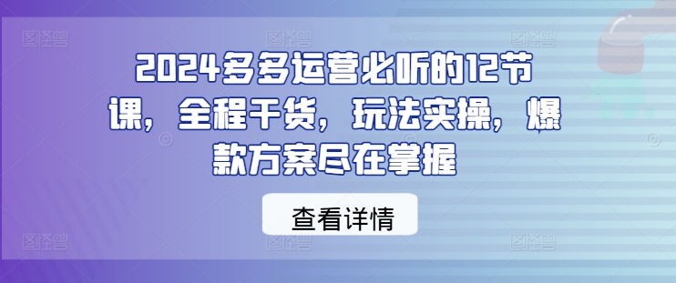 2024多多运营必听的12节课，全程干货，玩法实操，爆款方案尽在掌握-彼飞网创