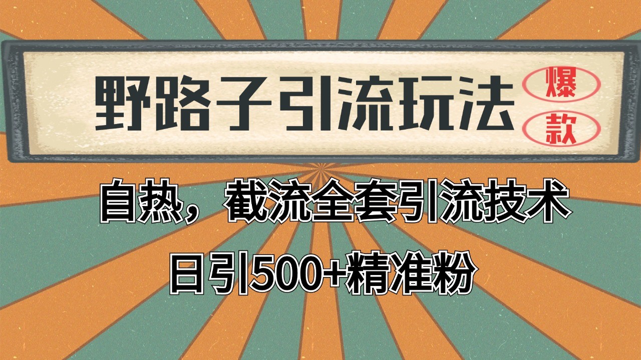 抖音小红书视频号全平台引流打法，全自动引流日引2000+精准客户-彼飞网创