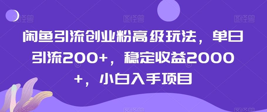 闲鱼引流创业粉高级玩法，单日引流200+，稳定收益2000+，小白入手项目-彼飞网创