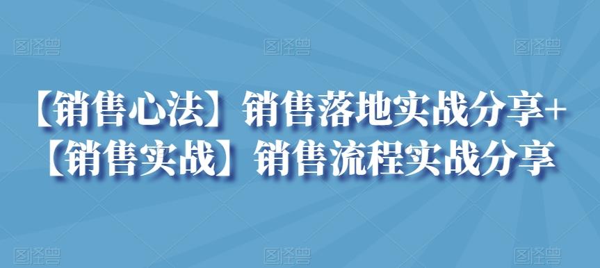 【销售心法】销售落地实战分享+【销售实战】销售流程实战分享-彼飞网创