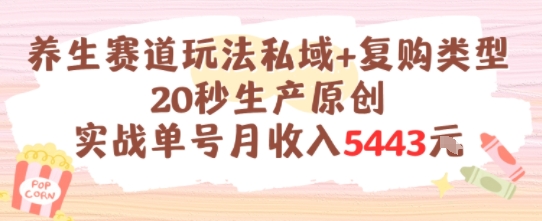 养生赛道玩法私域+复购类型，20秒生产原创实战单号月收入5k+-彼飞网创
