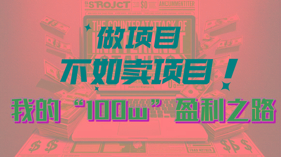 为什么做项目不如卖项目？我的100W+盈利之路-彼飞网创