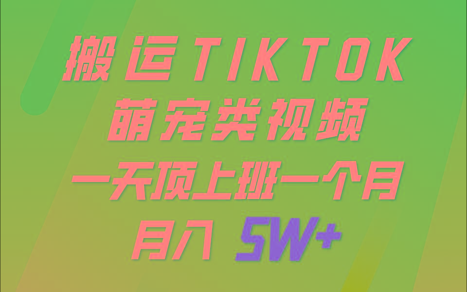 一键搬运TIKTOK萌宠类视频，一部手机即可操作，所有平台均可发布 轻松月入5W+-彼飞网创