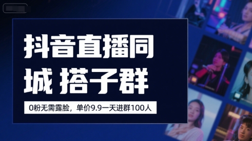 抖音直播同城搭子群，0粉无需露脸，单价19.9，一天进群100人-彼飞网创