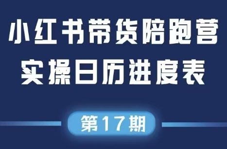 盗坤·抖音小红书视频号短视频带货与直播变现(11-17期)-彼飞网创
