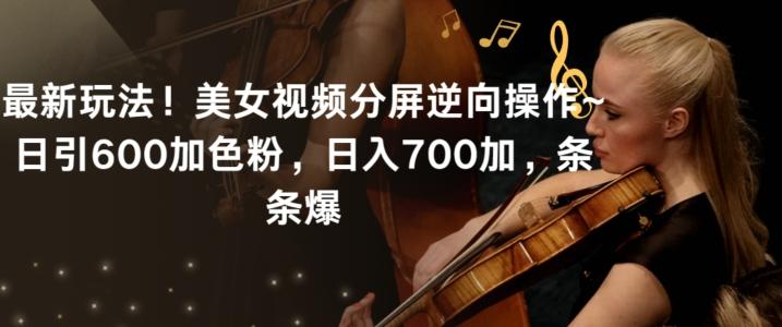 最新玩法！美女视频分屏逆向操作~日引600加色粉，日入700加，条条爆【揭秘】-彼飞网创