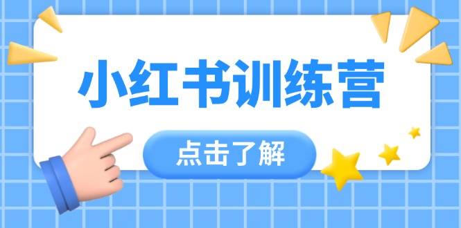 小红书训练营，助小白入门，掌握技巧变达人，课程实操又全面(12节课)-彼飞网创