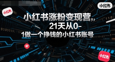 小红书涨粉变现营，21天从0-1做一个挣钱的小红书账号-彼飞网创