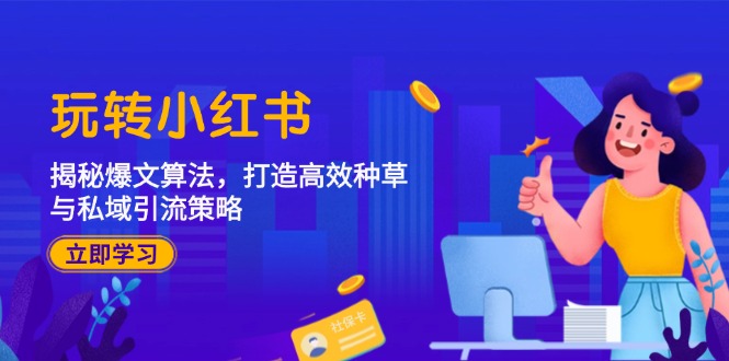 玩转小红书：揭秘爆文算法，打造高效种草与私域引流策略-彼飞网创
