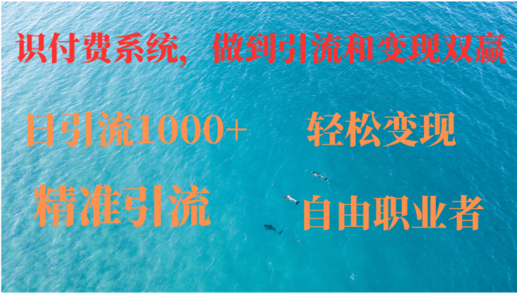 如何搭建自己的知识付费系统，做到引流和变现双赢-彼飞网创