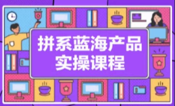 拼系冷门蓝海产品实操课程，从注册店铺到选品上架到流量维护环环相扣-彼飞网创