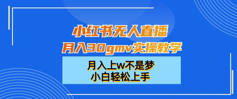 小红书无人直播月入30gmv实操教学，月入上w不是梦，小白轻松上手【揭秘】-彼飞网创
