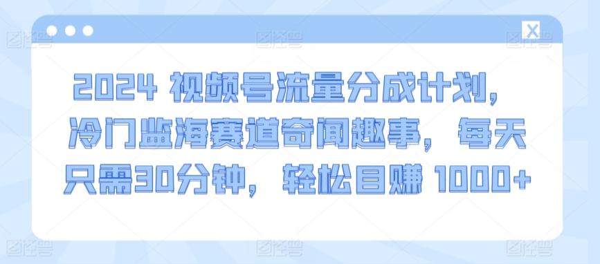2024视频号流量分成计划，冷门监海赛道奇闻趣事，每天只需30分钟，轻松目赚 1000+【揭秘】-彼飞网创