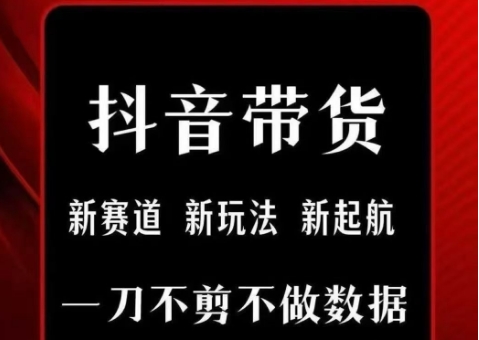 抖音短视频一刀不剪带货，不剪辑，不直播，每天发个视频，等着出单获取带货佣金-彼飞网创