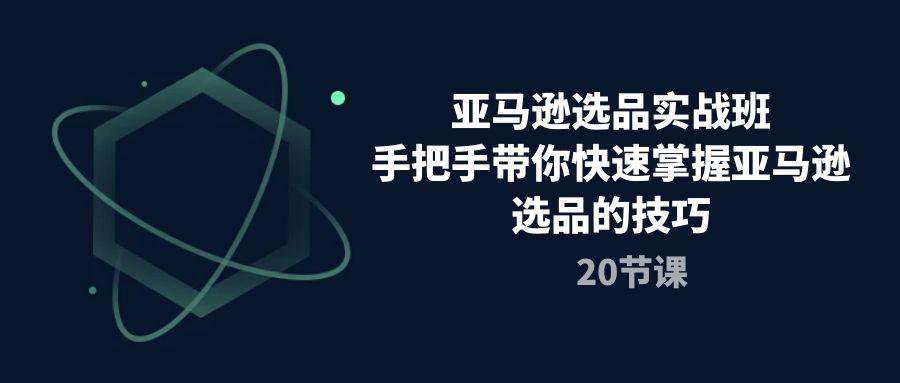 亚马逊选品实战班，手把手带你快速掌握亚马逊选品的技巧(20节课-彼飞网创