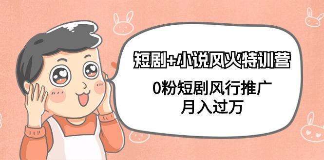(9374期)短剧+小说风火特训营，0粉短剧风行推广，月入过万(102节课)-彼飞网创