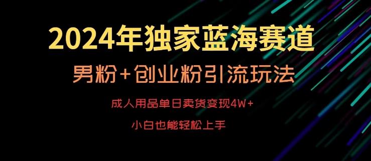 2024年独家蓝海赛道，成人用品单日卖货变现4W+，男粉+创业粉引流玩法，不愁搞不到流量【揭秘】-彼飞网创