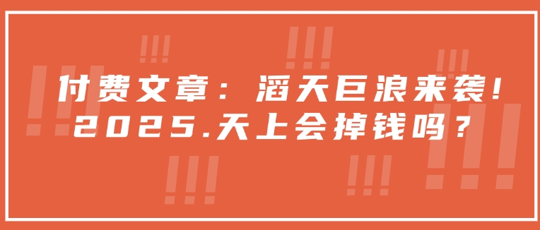付费文章：滔天巨浪来袭！2025天上会掉钱吗？-彼飞网创