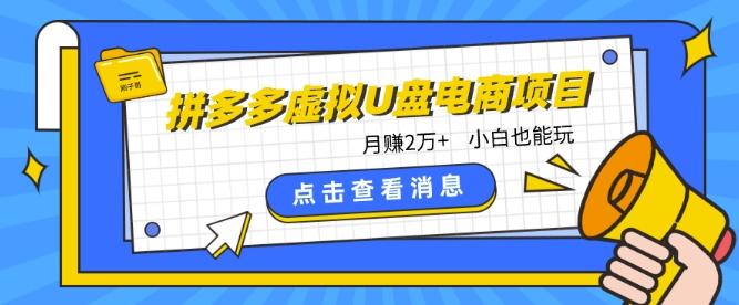 拼多多虚拟U盘电商红利项目：月赚2万+，新手小白也能玩-彼飞网创