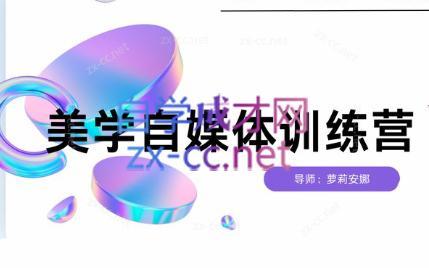 安娜·美学自媒体IP系统课-彼飞网创