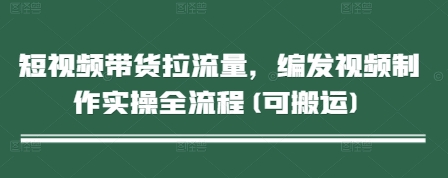 短视频带货拉流量，编发视频制作实操全流程(可搬运)-彼飞网创