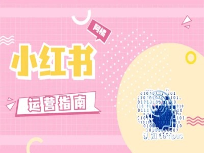 小红书运营指南，没有套路，全是经验-彼飞网创