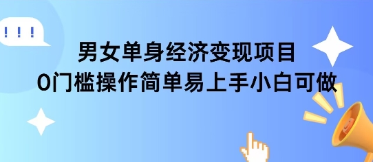 女单身经济项目变现周期长可复购率高日入1k+-彼飞网创