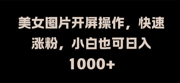 美女图片开屏操作，快速涨粉，小白也可日入1k【揭秘】-彼飞网创