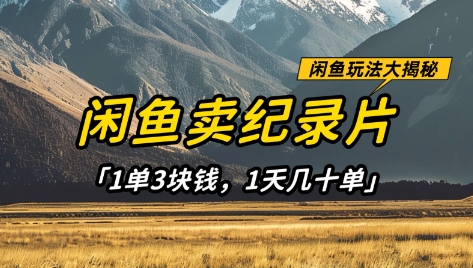 闲鱼卖纪录片1单3块钱，1天几十单，项目稳定有潜力-彼飞网创