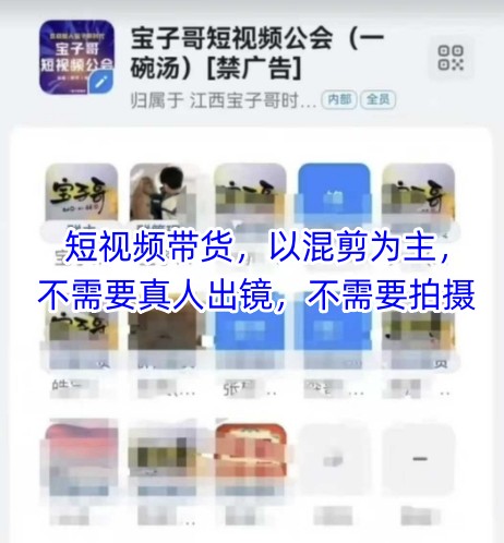 宝子哥头部团队短视频带货，以混剪为主，不需要真人出镜，不需要拍摄【更新6月】-彼飞网创