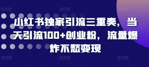 小红书独家引流三重奏，当天引流100+创业粉，流量爆炸不愁变现【揭秘】-彼飞网创