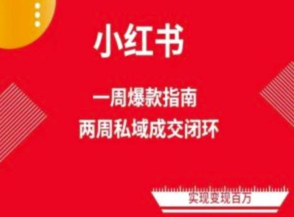 爆款小红书免费流量体系课程(两周变现)，小红书电商教程-彼飞网创