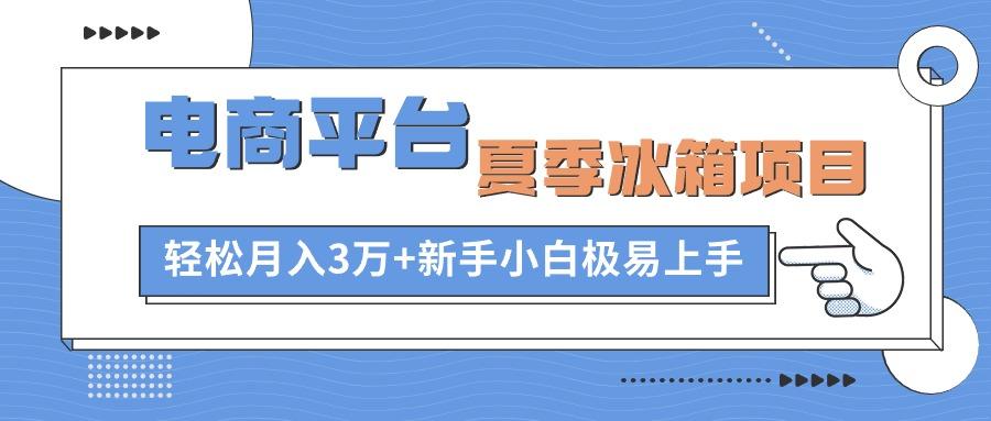 电商平台夏季冰箱项目，轻松月入3万+，新手小白极易上手-彼飞网创