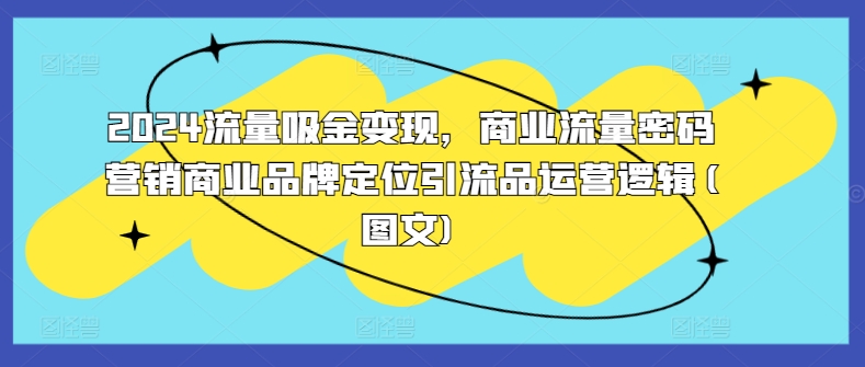2024流量吸金变现，商业流量密码营销商业品牌定位引流品运营逻辑(图文)-彼飞网创