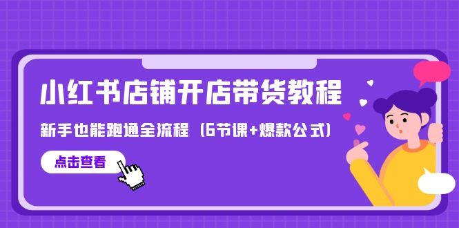 (9883期)最新小红书店铺开店带货教程，新手也能跑通全流程(6节课+爆款公式)-彼飞网创