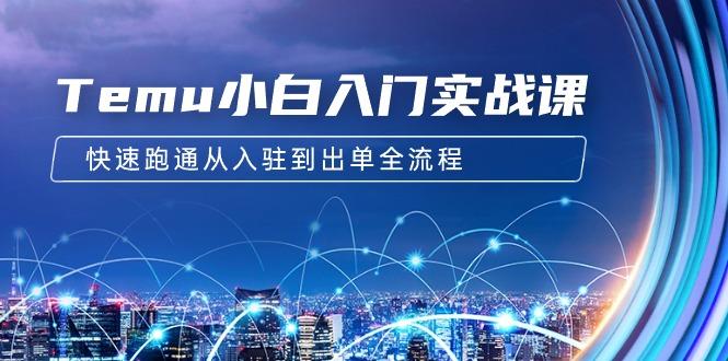 (9295期)Temu小白入门实战课：跨境拼多多电商培训 快速跑通从入驻到出单全流程-12节-彼飞网创
