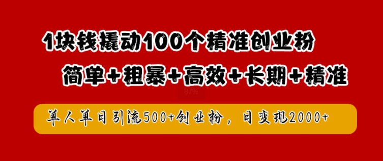1块钱撬动100个精准创业粉，简单粗暴高效长期精准，单人单日引流500+创业粉，日变现2k【揭秘】-彼飞网创