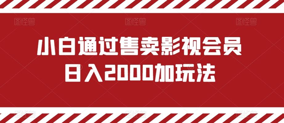 小白通过售卖影视会员日入2000加玩法-彼飞网创