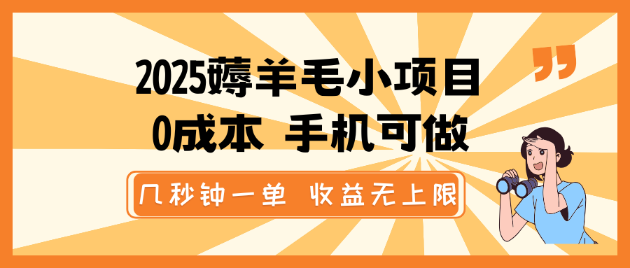 2025薅羊毛小项目，0成本 手机可做，几秒钟一单，收益无上限-彼飞网创