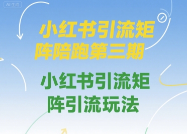 小红书引流矩阵陪跑第三期，小红书引流矩阵引流玩法-彼飞网创