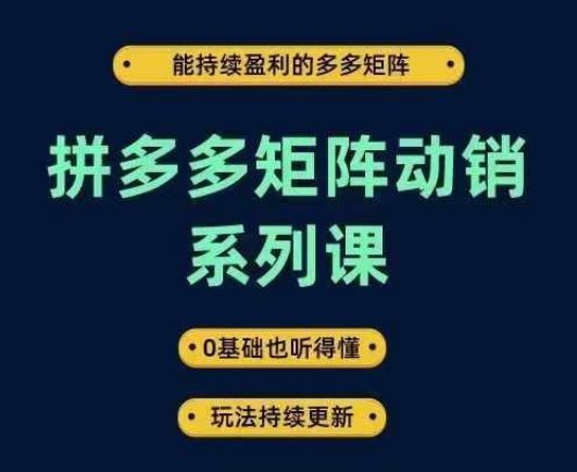 拼多多矩阵动销系列课，能持续盈利的多多矩阵，0基础也听得懂，玩法持续更新-彼飞网创